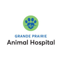 animal-hospital-square